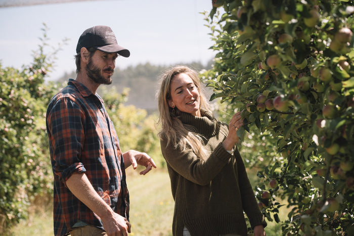 articles/WEB_Dayelsford_Cider__21.jpg
