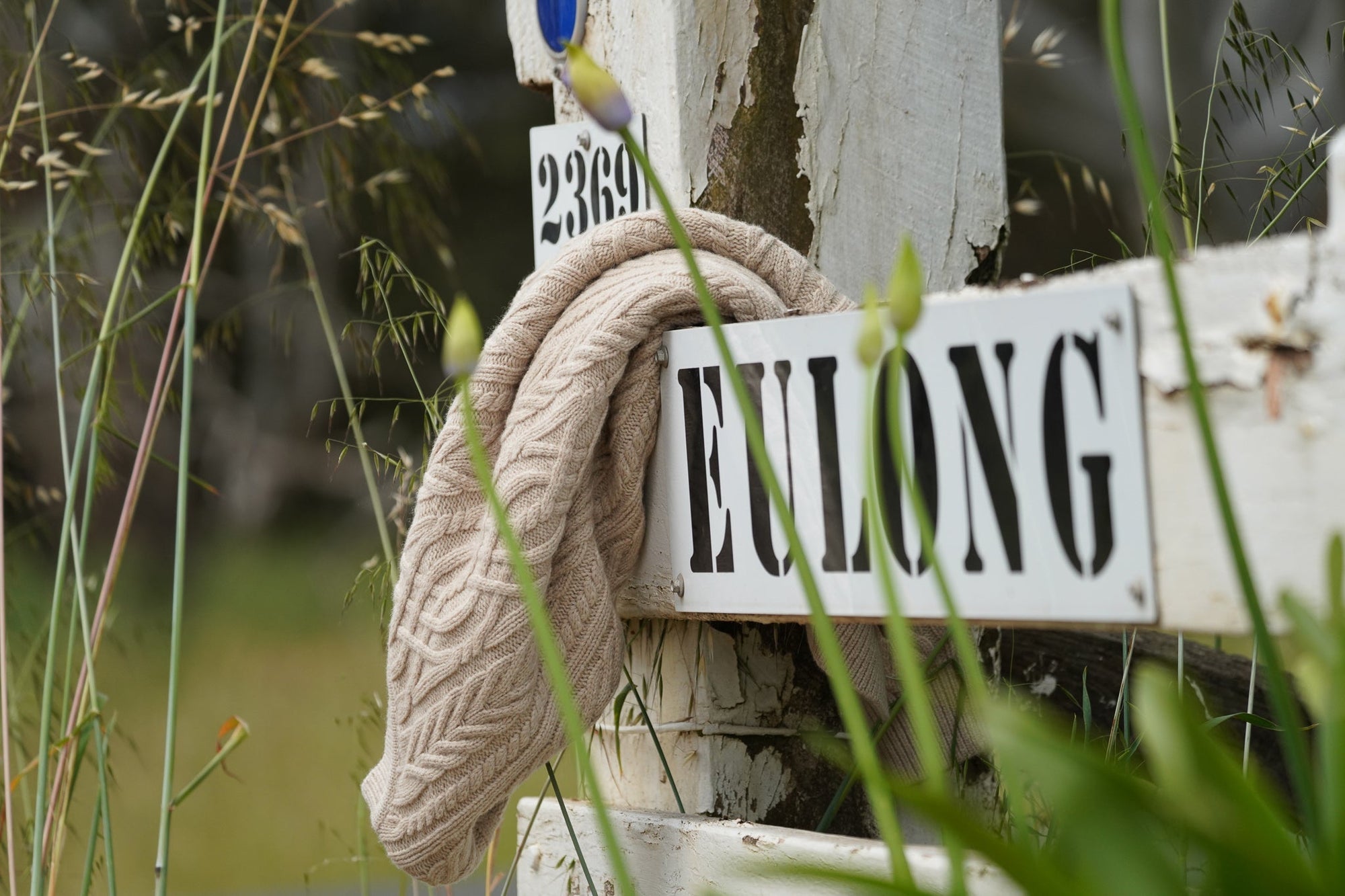 Australian Merino - Down on the Farm