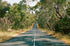 A long Victorian road