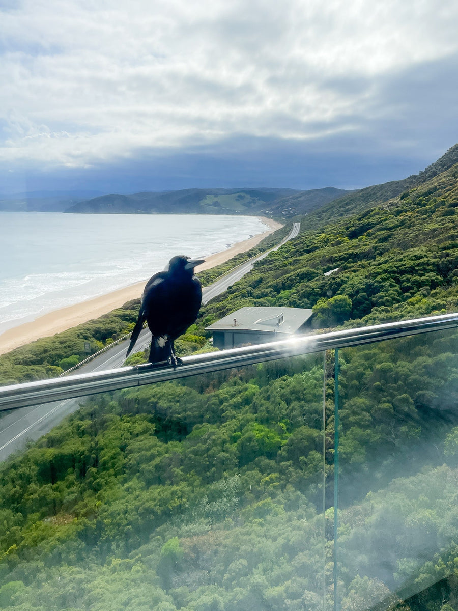 Great Ocean Road Getaway at the Famous Pole House
