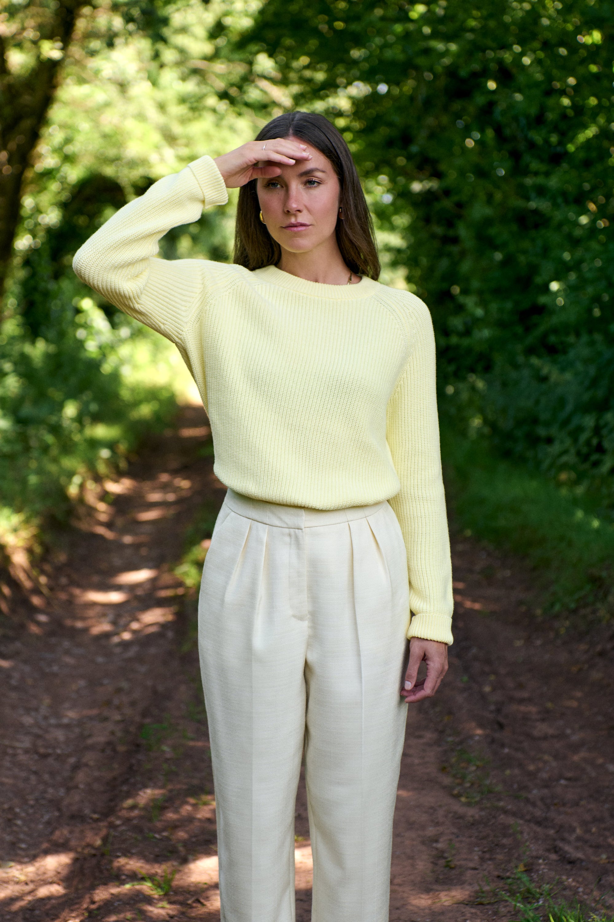 Lemon Bell Pullover