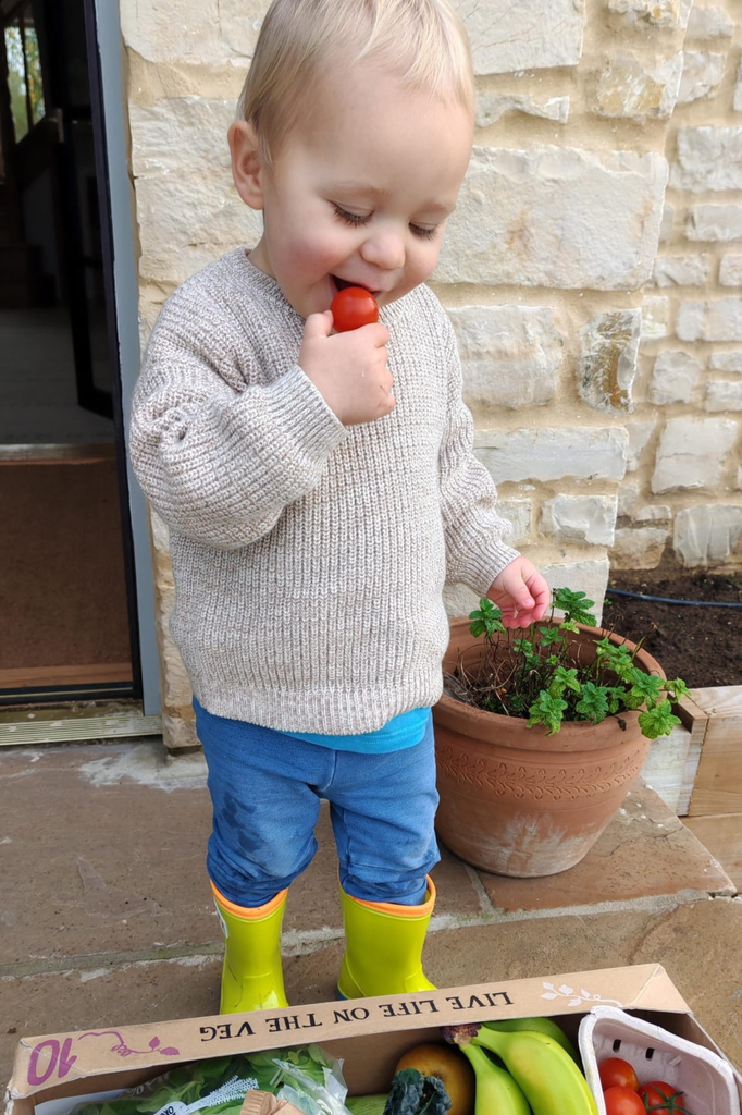 Oat Twist Mini Seven Pullover